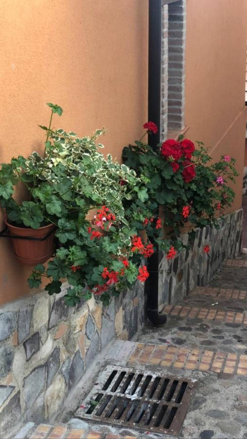 La Casetta Di Elena Lamezia Terme Exterior foto